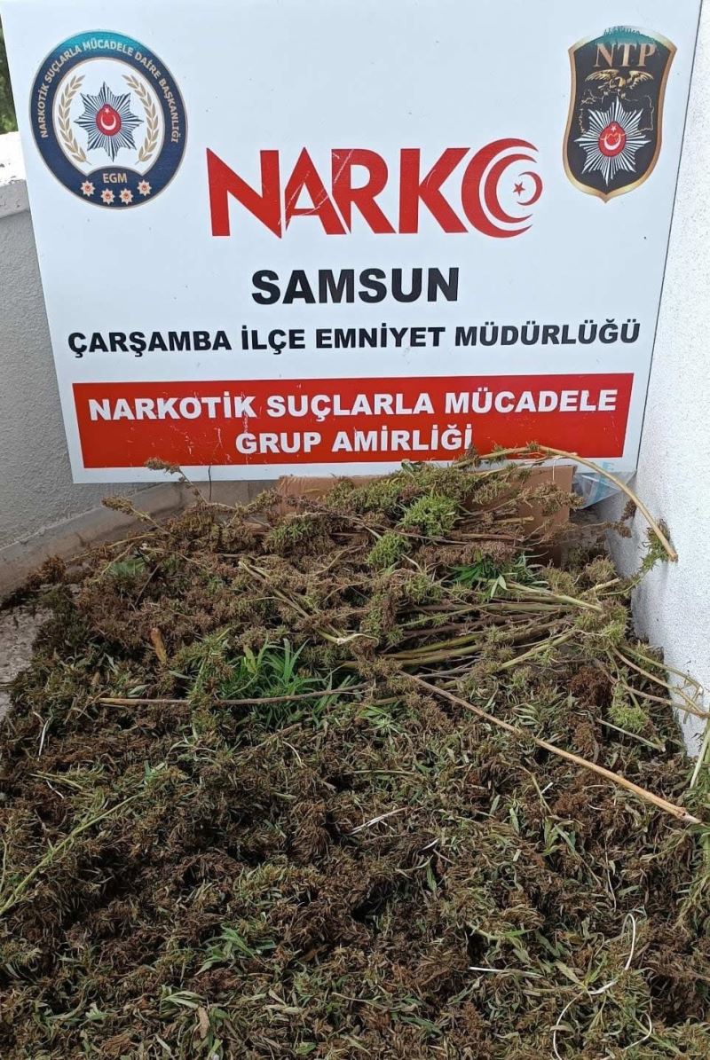 Samsun’da 9 kilo 975 gram esrar ele geçirildi: 8 gözaltı
