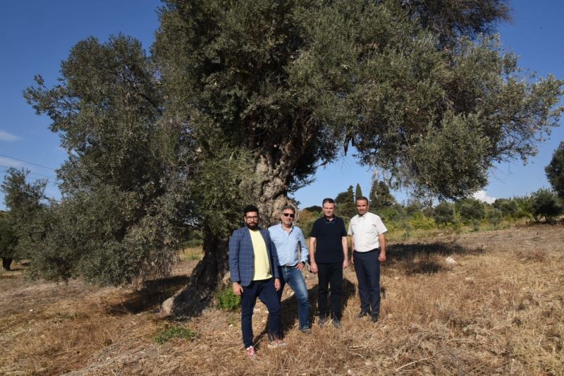 Yurt dışından gelen Zeytin dostu kentlerin heyeti Aydın’da ağırlandı
