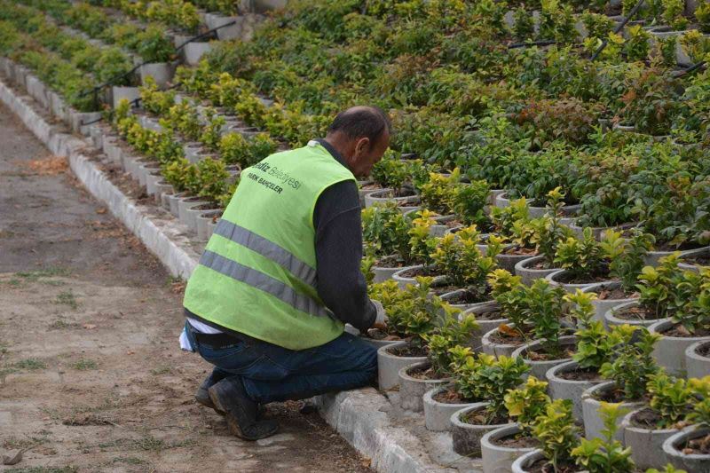 Gediz’de mevsimlik çiçek dikimi başladı
