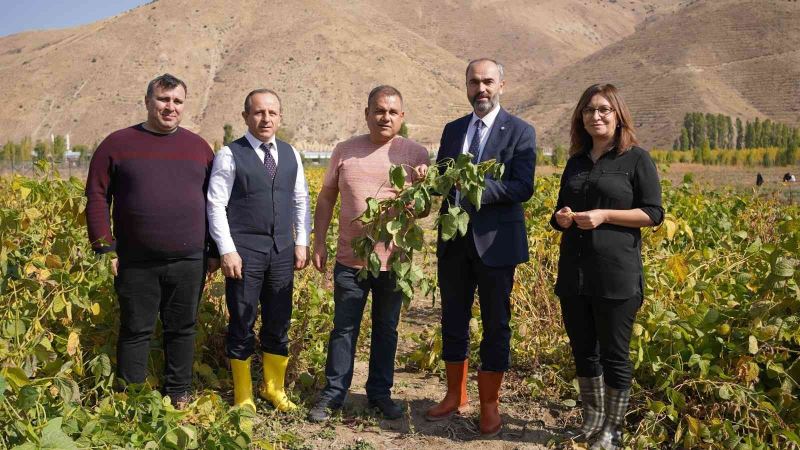 Bayburt’ta bir ilk olan soya fasulyesi ve yeni tür patateste beklenen hasat gerçekleşti
