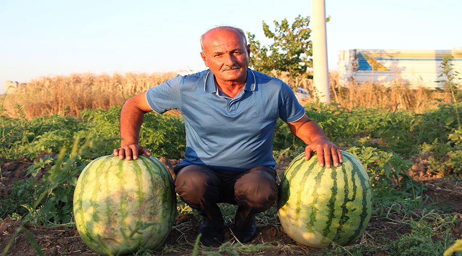 Batmanlı çiftçi yetiştirdiği 53 kilo 300 gramlık karpuzuyla Diyarbakır’a rakip oldu