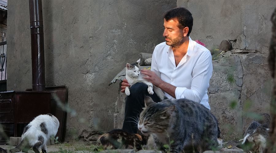 28 yıldır köydeki kedileri elleriyle besliyor