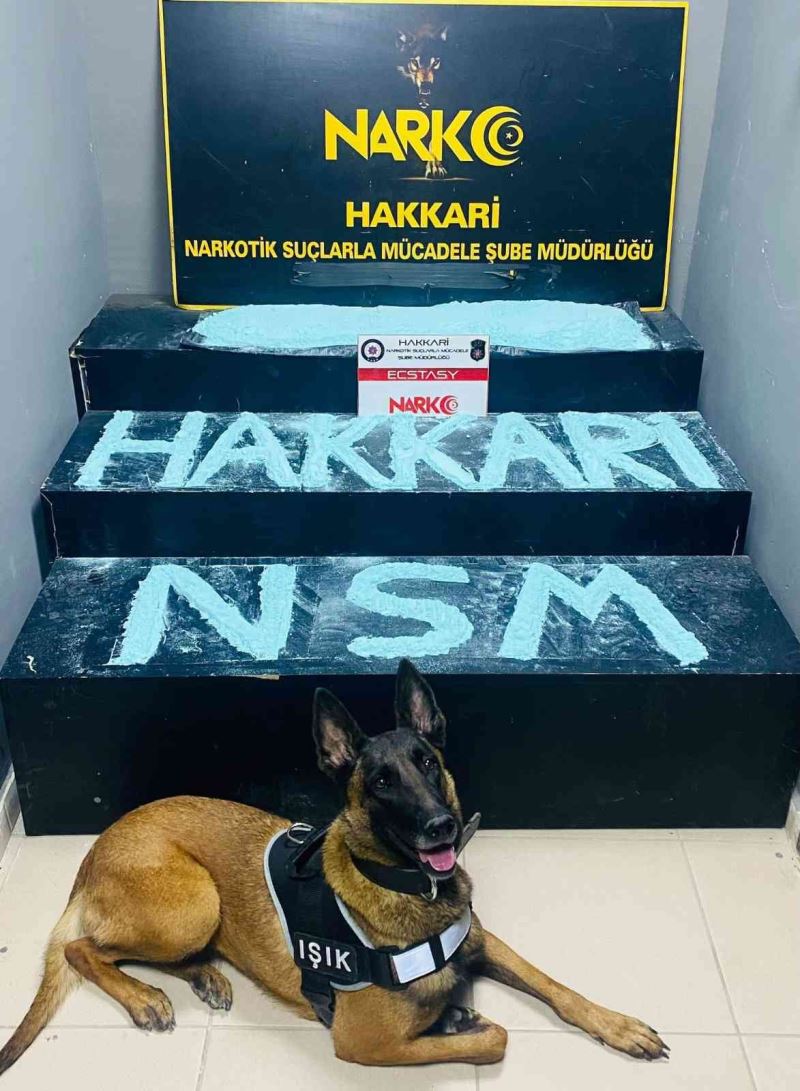 Hakkari’de 5 kilo ecstasy maddesi ele geçirildi
