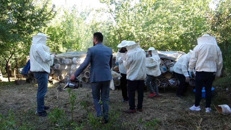 Van’da davullu zurnalı bal hasadı
