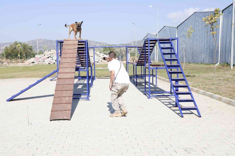 Aydın Büyükşehir Belediyesi’nin arama-kurtarma köpeği ’Zeyna’ mezun oldu
