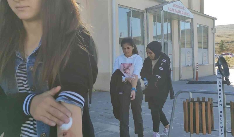 Ardahan’da gıda zehirlenmesi: 25 öğrenci hastaneye kaldırıldı
