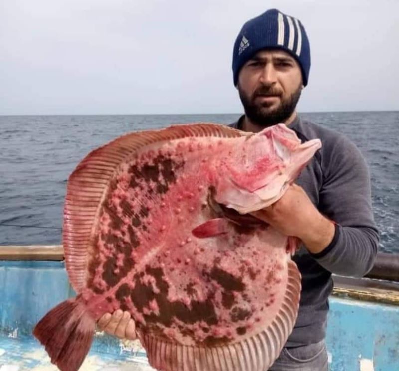 Teknesiyle denize açılan ve bir daha haber alınamayan balıkçıyı arama çalışmaları sonlandırıldı
