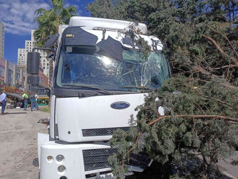 Esenyurt’ta freni boşalan kamyonet dehşet saçtı: 2 yaralı
