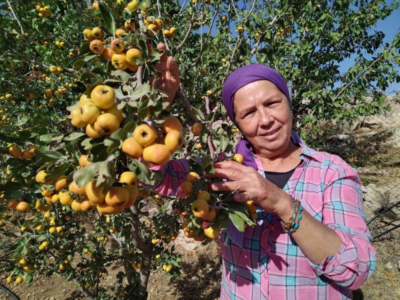 Alıç emekli çiftin yüzünü güldürdü
