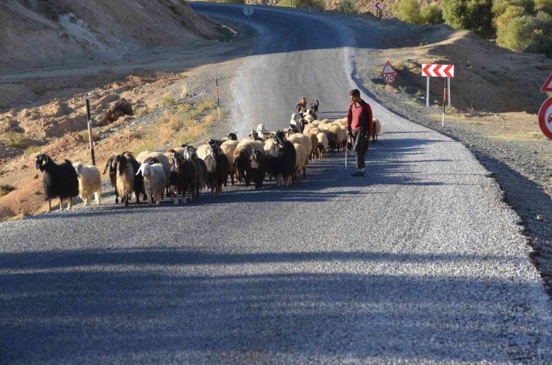 Muş’taki göçerler sıcak bölgelere göç etmeye başladı
