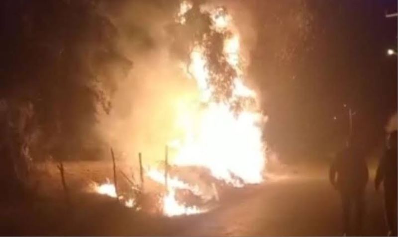 Zeytin ağaçlarının yakılmasının ardından nöbet tutan köylüler rahat bir gece geçirdi
