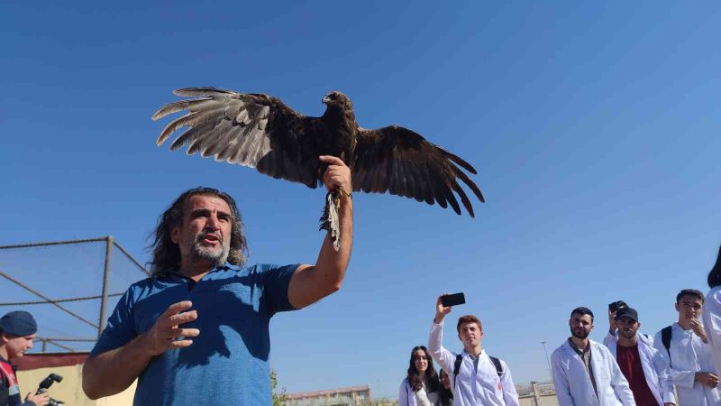 Van’da tedavileri tamamlanan 300 yabanî hayvan doğaya bırakıldı
