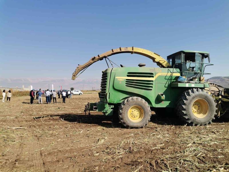 Kahramanmaraş’ta silajlık mısır hasadı
