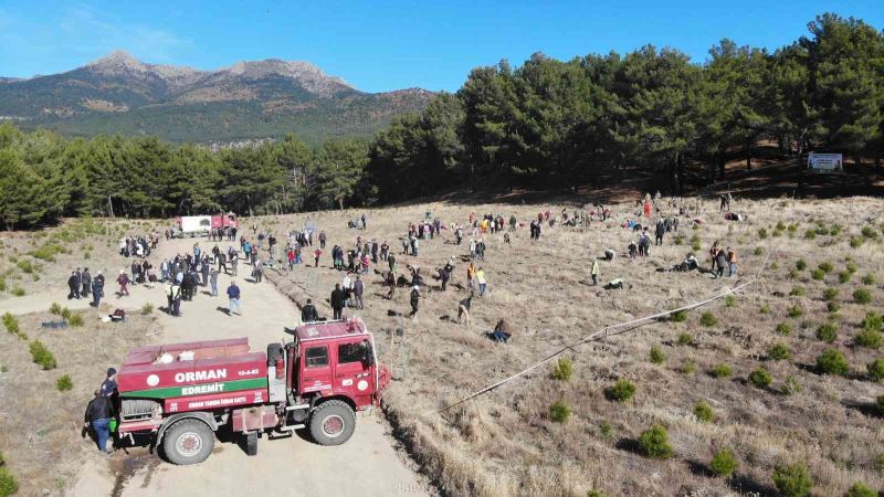 Kazdağları’nda Mili Ağaçlandırma Günü’nde fidanlar toprak ile buluştu
