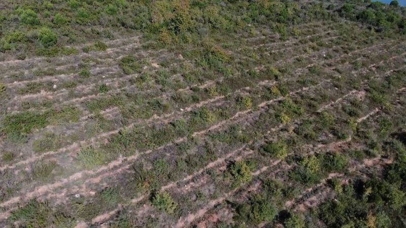 Pendik’te Aydos Ormanı’nda PKK’lı teröristin yaktığı ormanlık alanın son hali havadan görüntülendi
