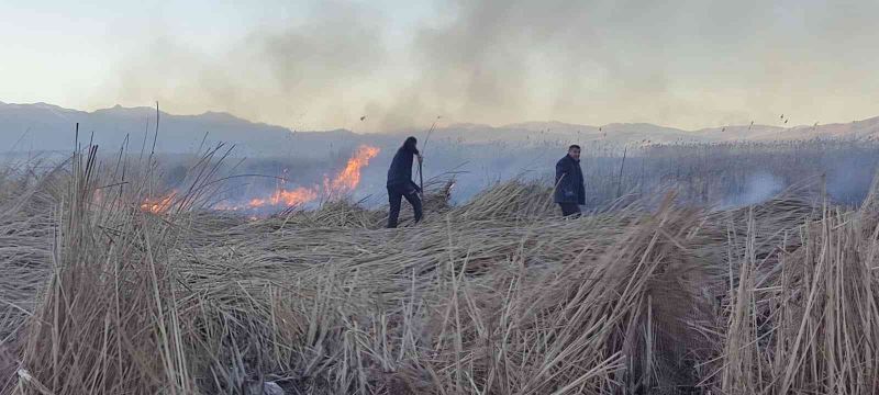 Birçok kuş türünün yaşadığı Nehil Sazlığı’nda yangın
