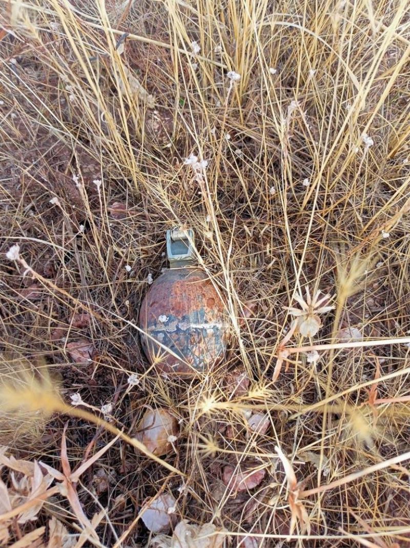 Bingöl’de el bombası ve mayın imha edildi
