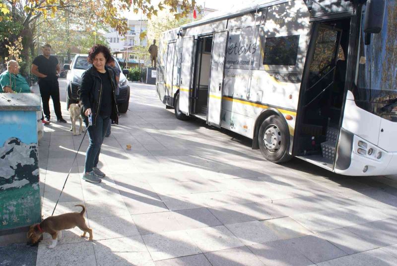 Vetbüs can dostlara sağlık hizmeti sunuyor
