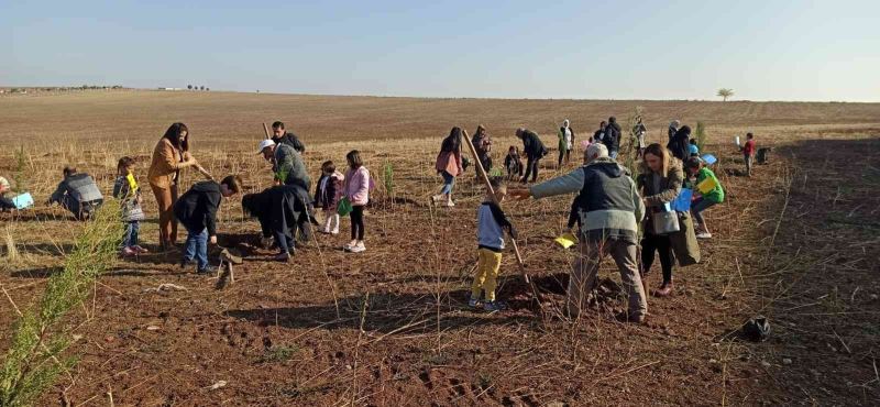 Dicle Üniversitesi 750 ağaç ile yeşillendirildi
