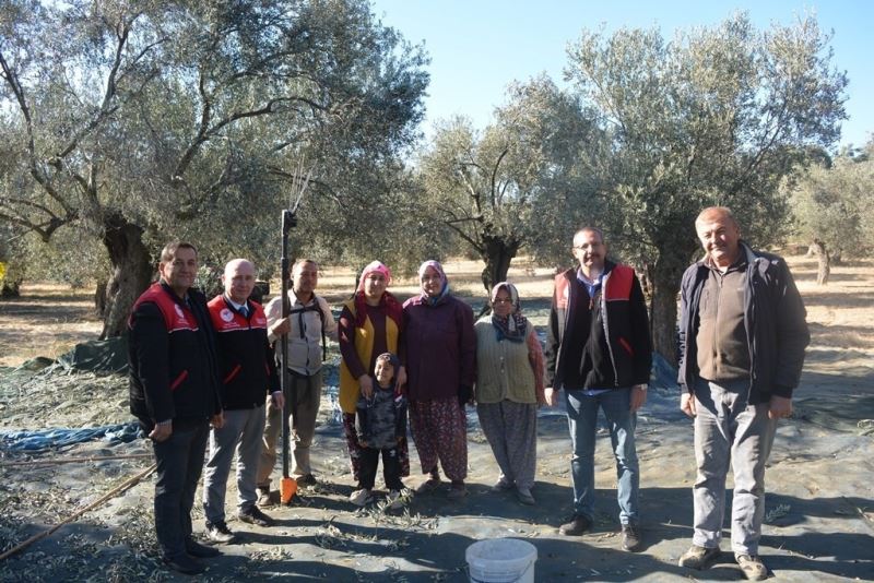 Kaymakam Özderin zeytin hasadına katıldı
