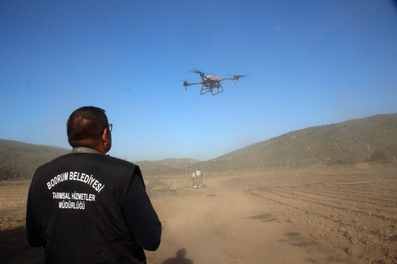 Bodrum Belediyesi’nde drone ile ilaçlama dönemi başlıyor
