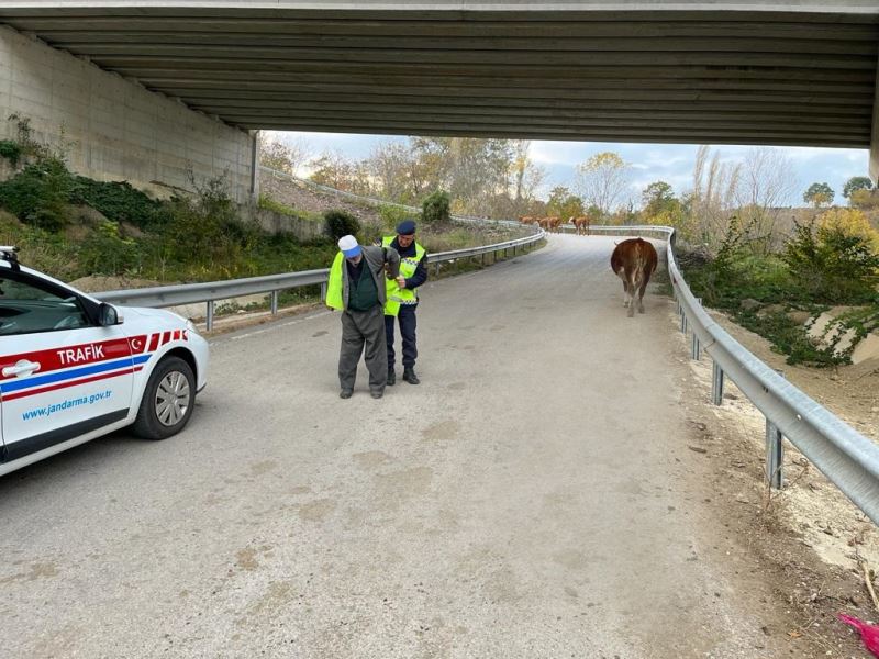 Sinop’ta “Reflektif Yelek Giy Görünür Ol Projesi