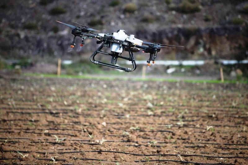 Bodrum’da dron hizmeti çiftçinin yüzünü güldürdü
