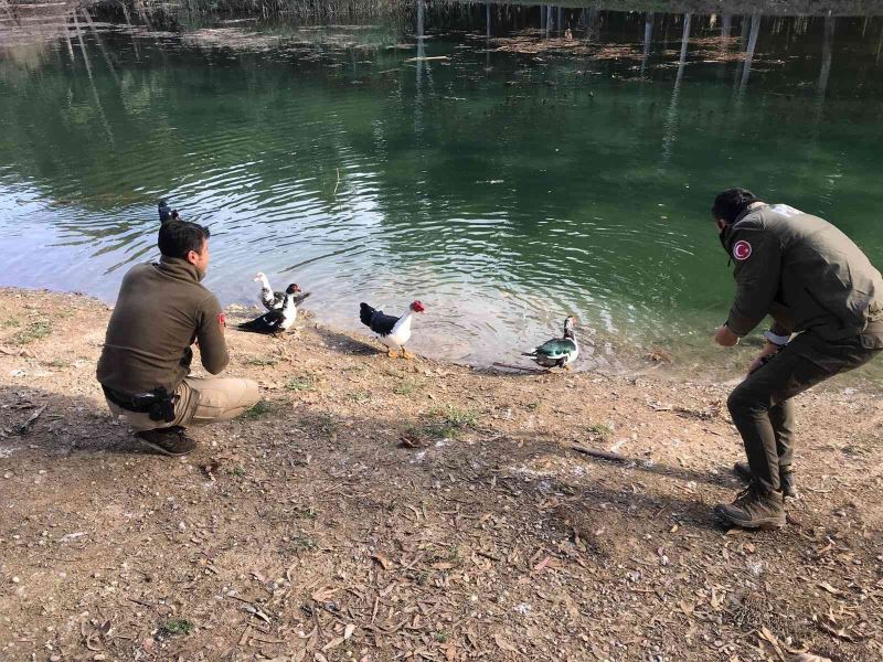 Mersin polisi soğuk kış günlerinde yaban hayvanlarını unutmuyor
