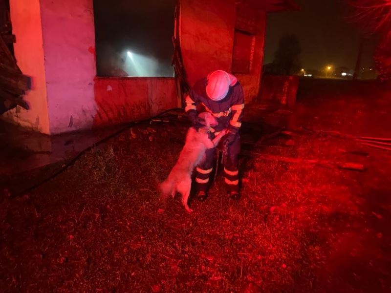 Yangını söndürüp mahsur kalan köpeği kurtardılar
