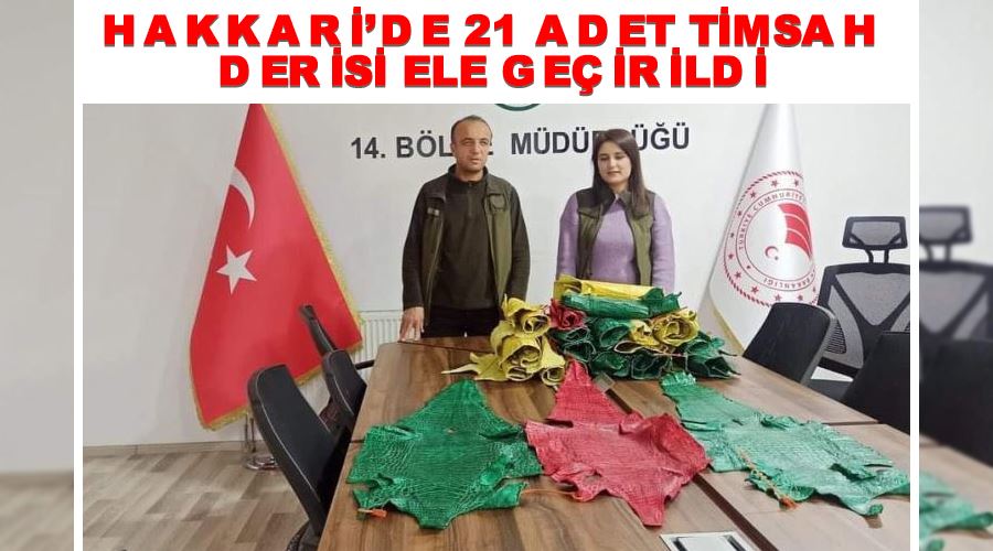 Hakkari’de 21 adet timsah derisi ele geçirildi