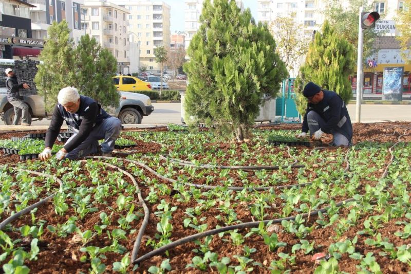 Kilis’te sokaklara kış bakımı
