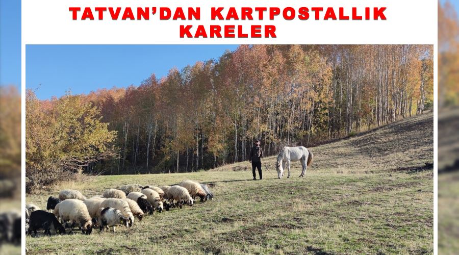 Tatvan’dan kartpostallık kareler