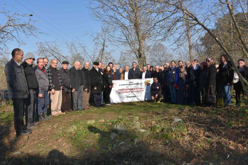 Ordu’da fındık üreticilerine iyi tarımın önemi anlatıldı
