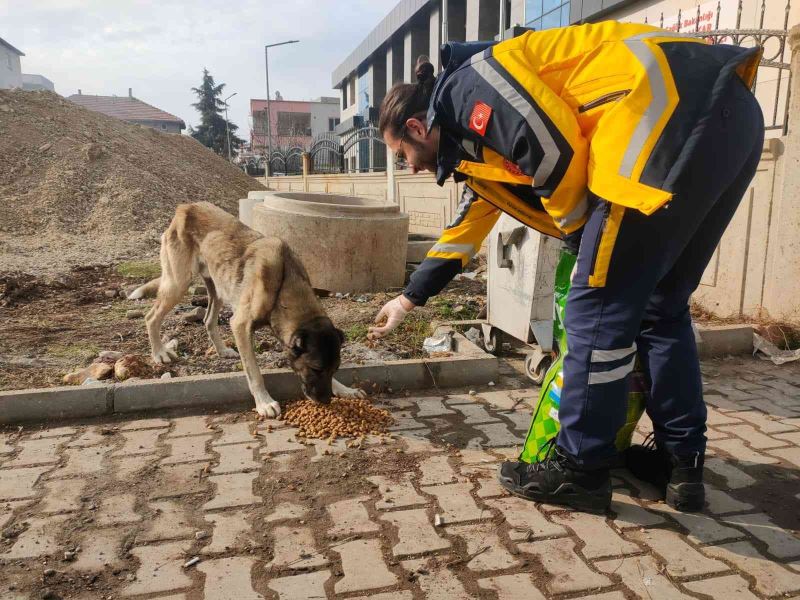 112 Personellerinden sokak hayvanlarına mama desteği
