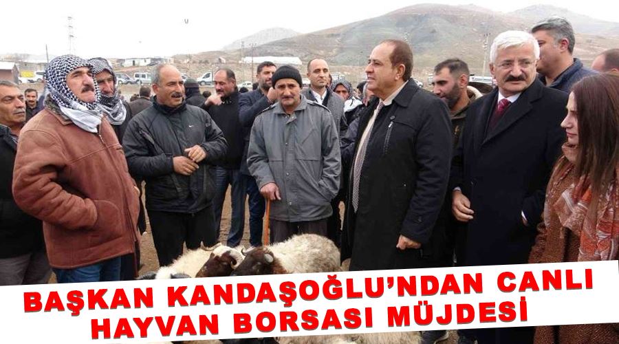 Başkan Kandaşoğlu’ndan canlı hayvan borsası müjdesi