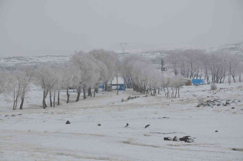 Kars’ta Lavaşın Gölü buz tuttu
