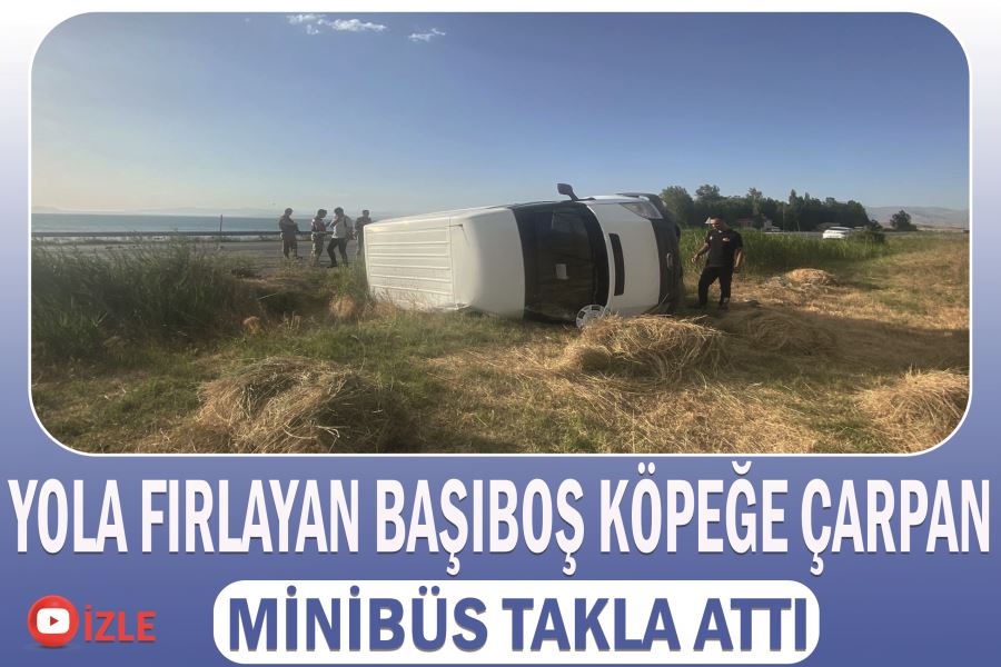 Yola fırlayan başıboş köpeğe çarpan minibüs takla attı