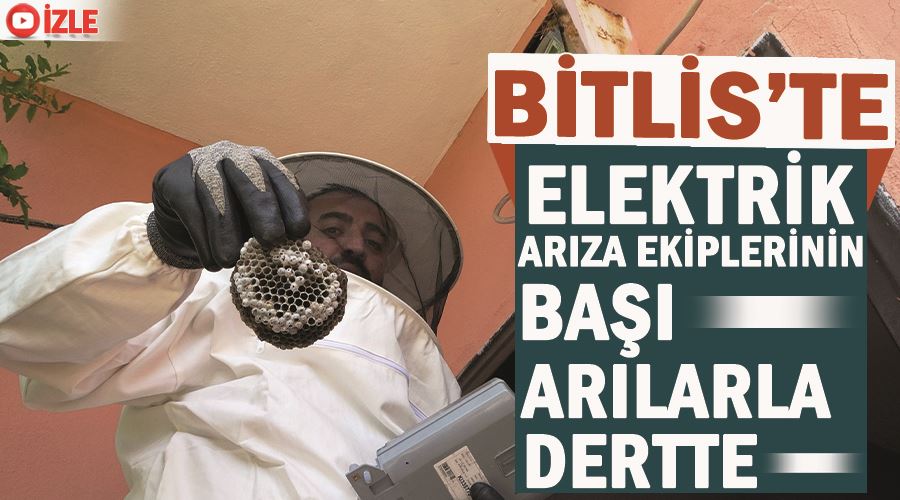 Bitlis’te elektrik arıza ekiplerinin başı arılarla dertte
