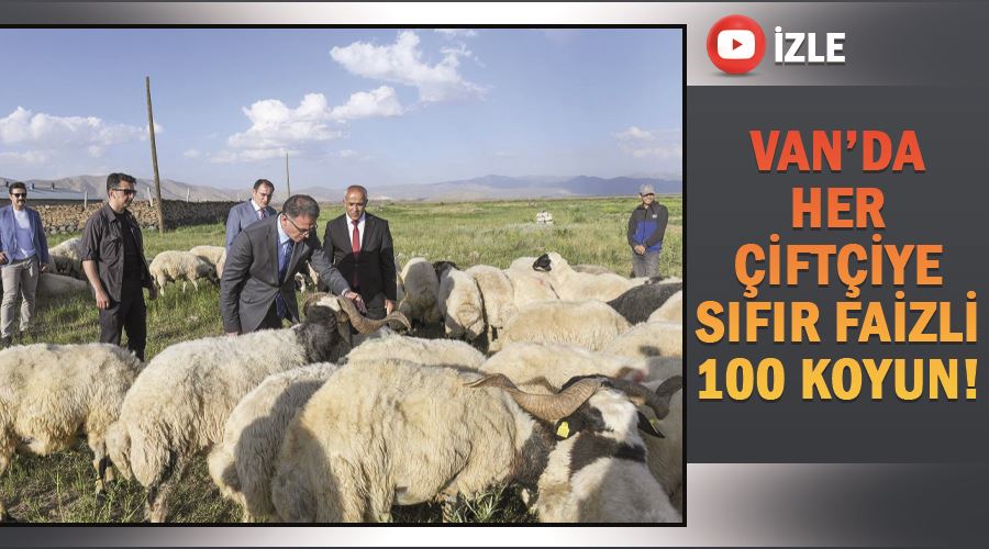Van’da her çiftçiye sıfır faizli 100 koyun!