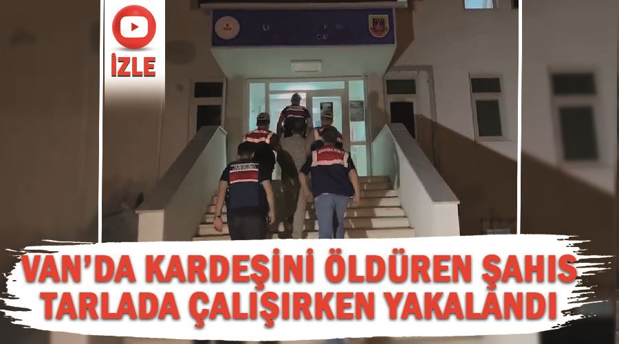 Van’da kardeşini öldüren şahıs tarlada çalışırken yakalandı