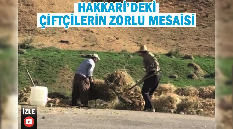 Hakkari’deki çiftçilerin zorlu mesaisi