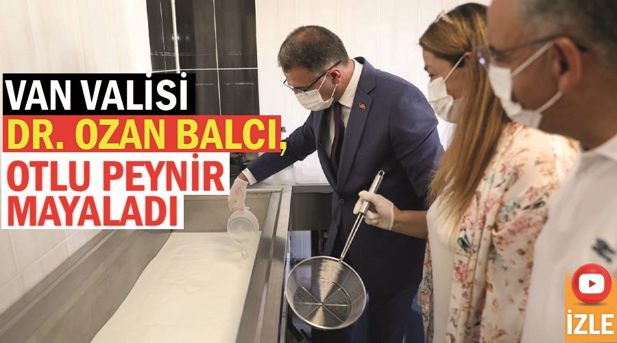 Van Valisi Dr. Ozan Balcı, otlu peynir mayaladı