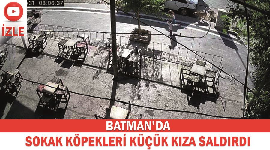 Batman’da sokak köpekleri küçük kıza saldırdı