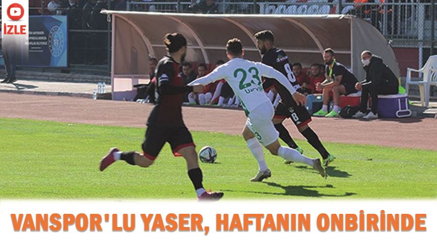 Vanspor