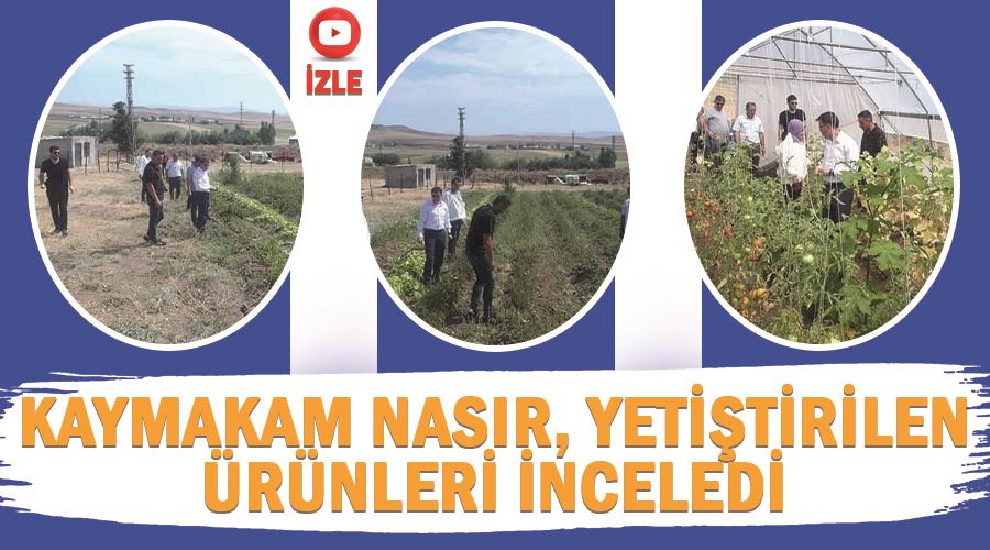 Kaymakam Nasır, yetiştirilen ürünleri inceledi