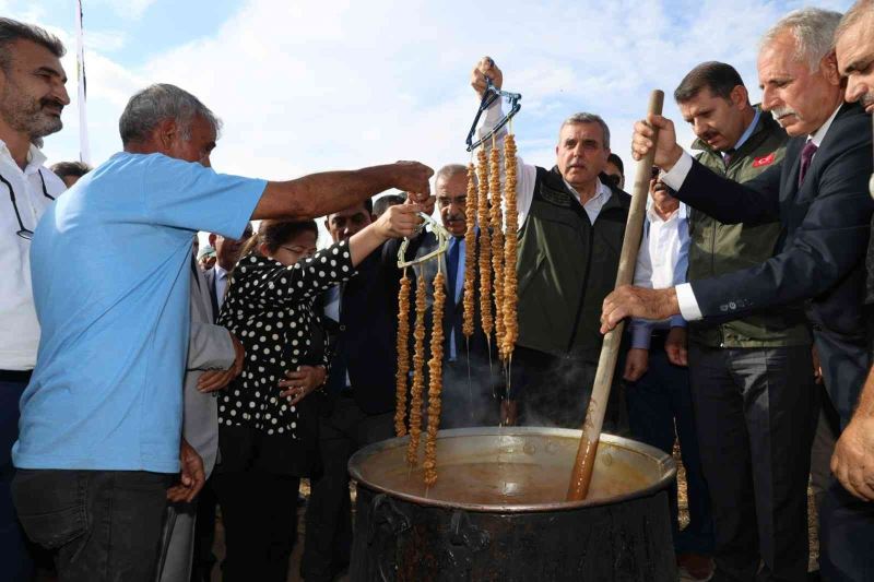 Şanlıurfa’da bağ bozumu festivali
