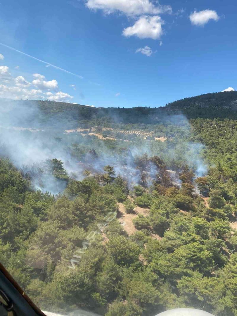 Bergama’da orman yangını
