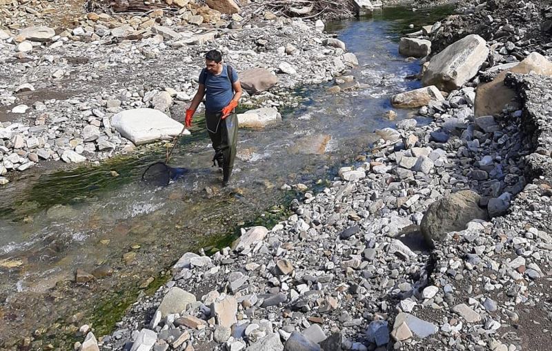 Sinop’ta kırmızı benekli alabalık popülasyonu güçlendirilecek
