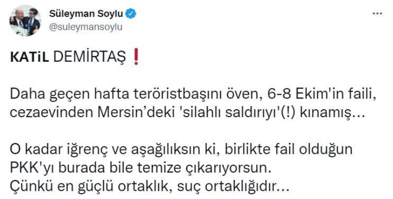 Bakan Soylu’dan Demirtaş’a sert tepki: 