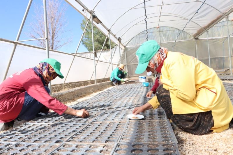 Kızıltepe’de kış mevsimi için 50 bin çiçek tohumu toprakla buluştu
